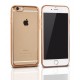 clear case